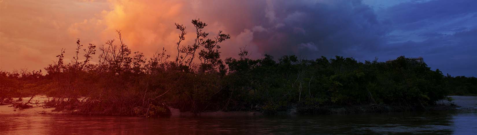 A storm cloud photographed at sunset over a coastal mangrove in Naples, Florida.